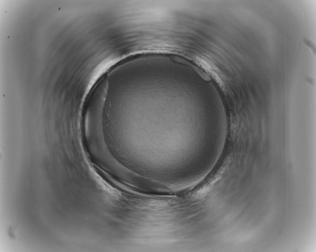 X0000094371085200711021525