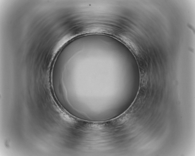 X0000094371086200711021525
