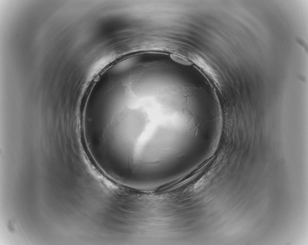 X0000094371088200711021525