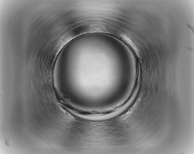 X0000094371089200711021525