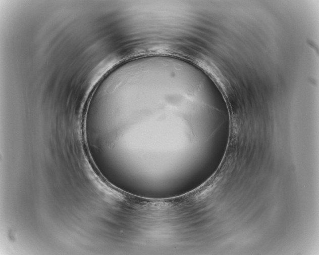 X0000094371090200711021525