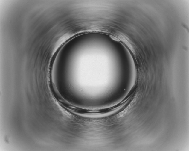 X0000094371093200711021525