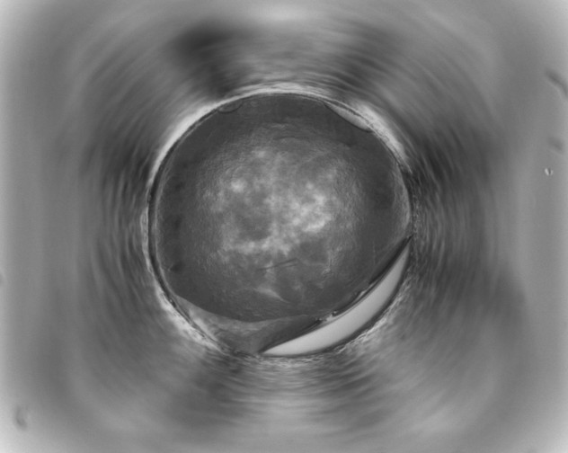X0000094371100200711021525