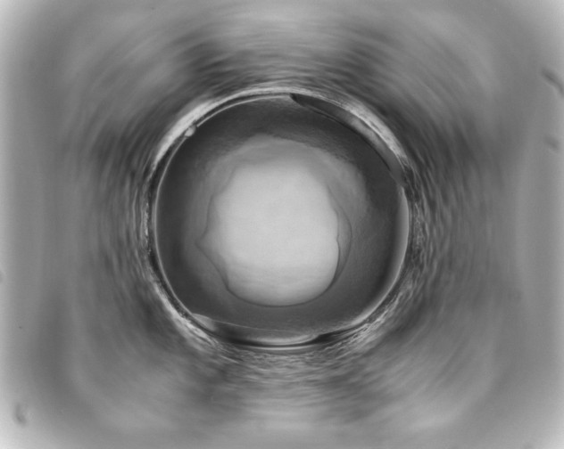 X0000094371101200711021525