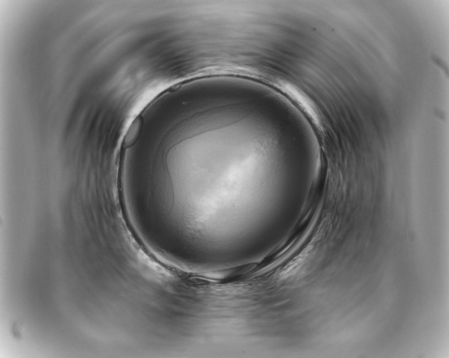 X0000094371102200711021525