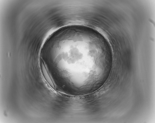 X0000094371104200711021525