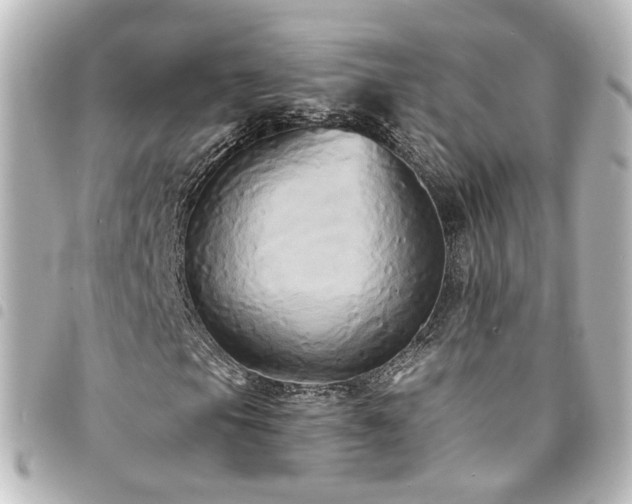 X0000094371105200711021524