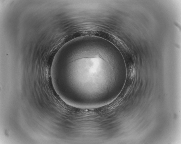X0000094371108200711021524