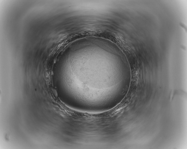 X0000094371109200711021524