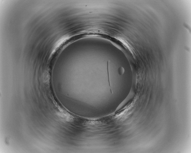 X0000094371115200711021525