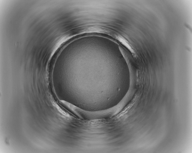 X0000094371116200711021525