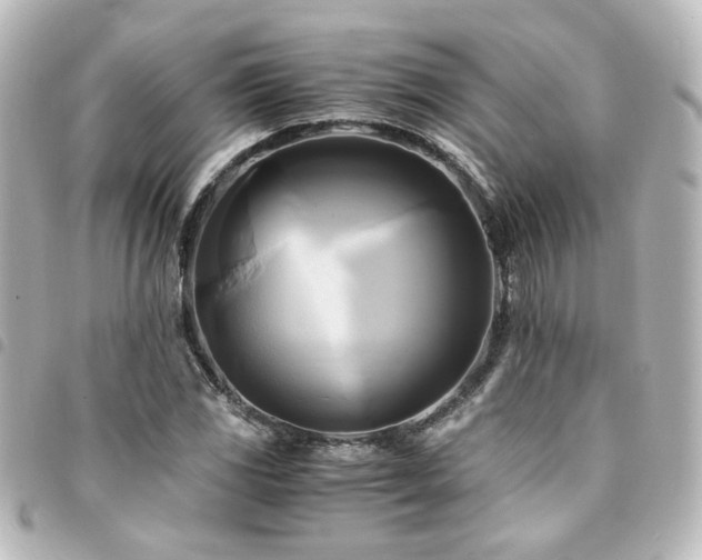 X0000094371117200711021525