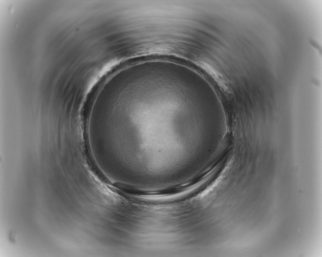 X0000094371118200711021525