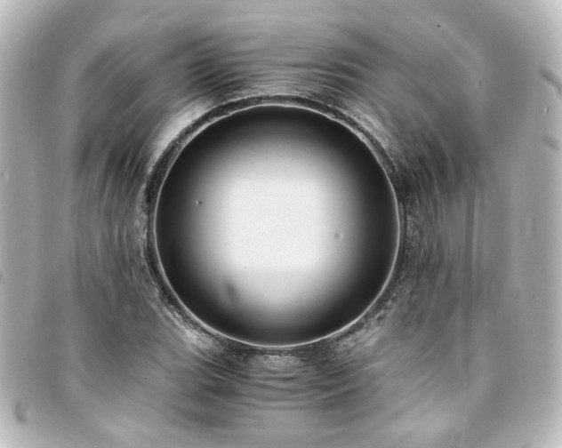 X0000094371119200711021525