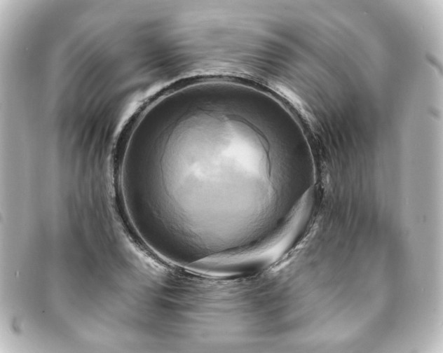 X0000094371120200711021525