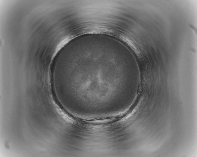 X0000094371122200711021525
