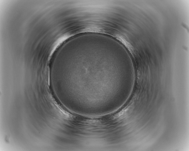 X0000094371123200711021525