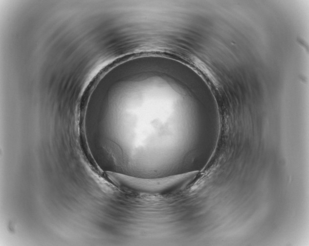 X0000094371124200711021525