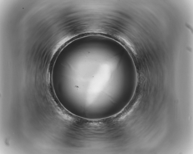 X0000094371125200711021525