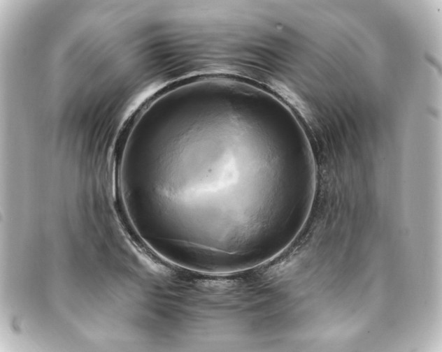 X0000094371127200711021525