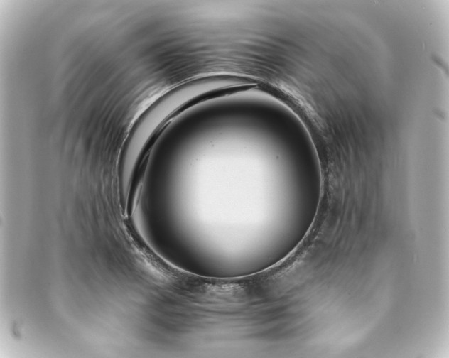 X0000094371129200711021525
