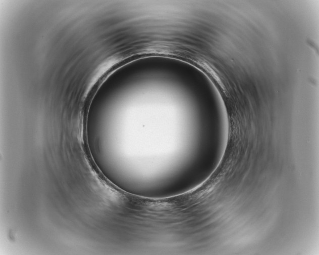 X0000094371131200711021525