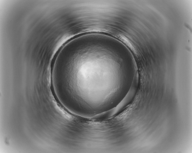 X0000094371132200711021525