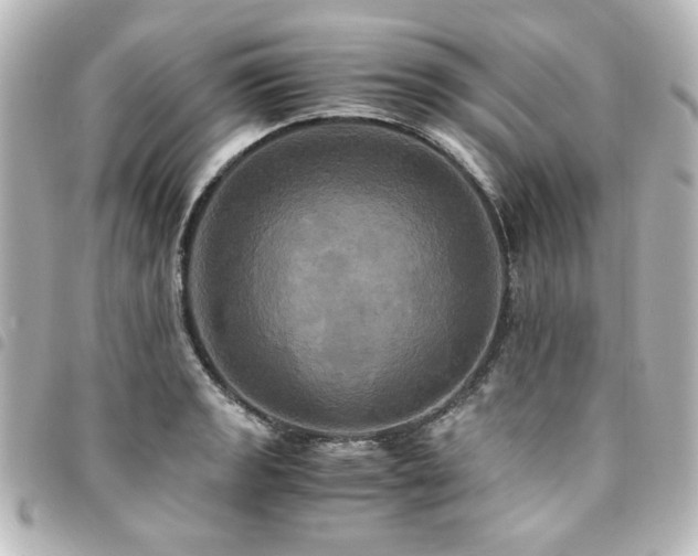 X0000094371133200711021525