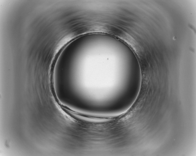 X0000094371135200711021525