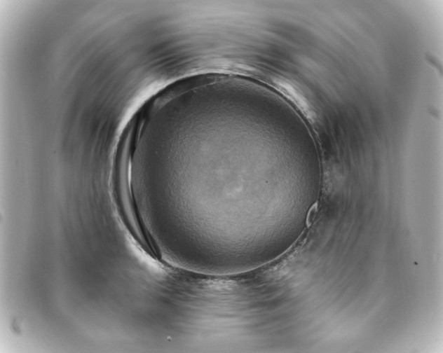X0000094371136200711021525