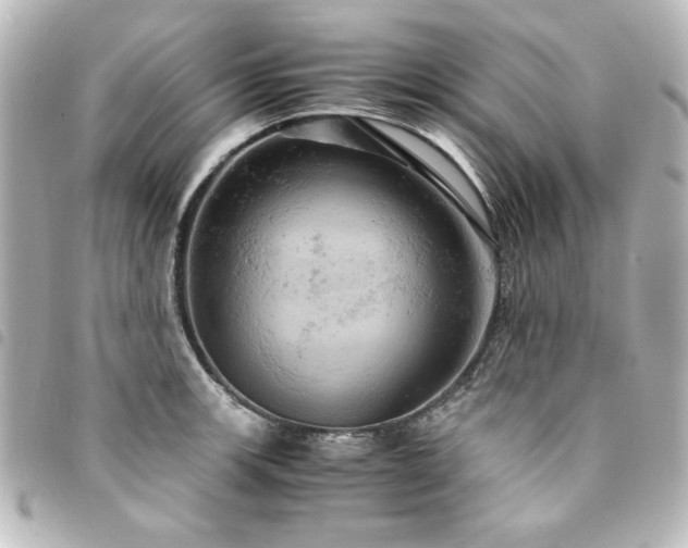 X0000094371139200711021525