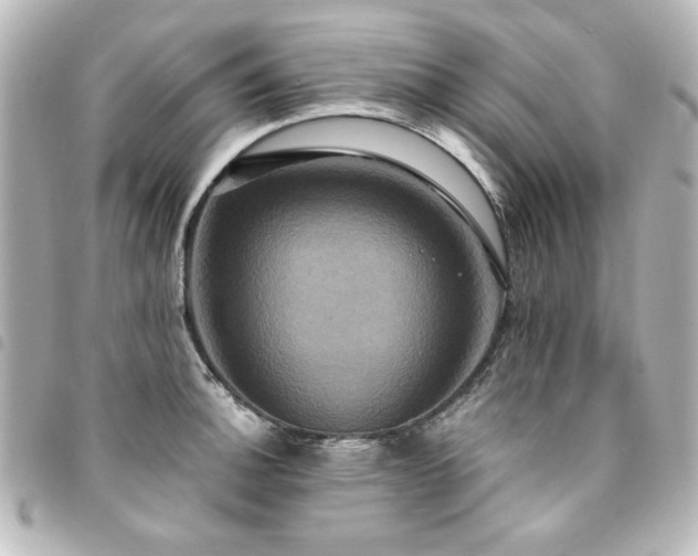 X0000094371140200711021525