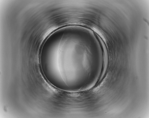 X0000094371141200711021525