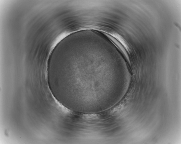 X0000094371143200711021525