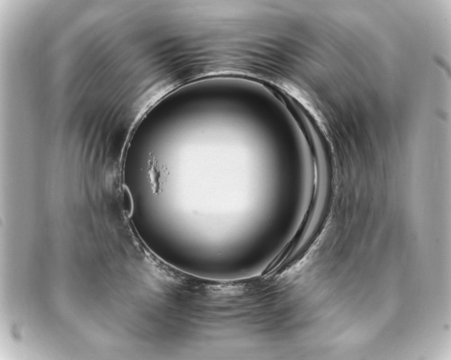 X0000094371145200711021525