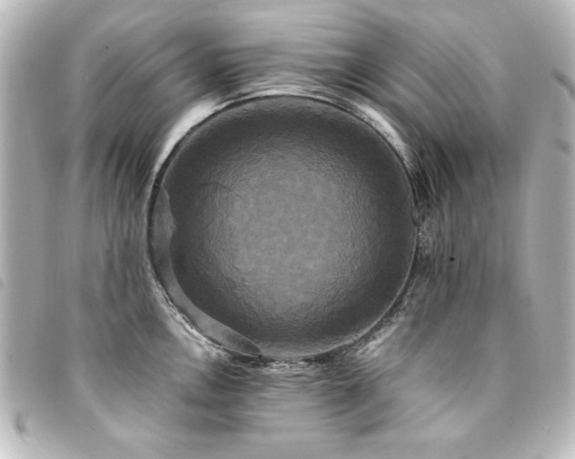 X0000094371146200711021525
