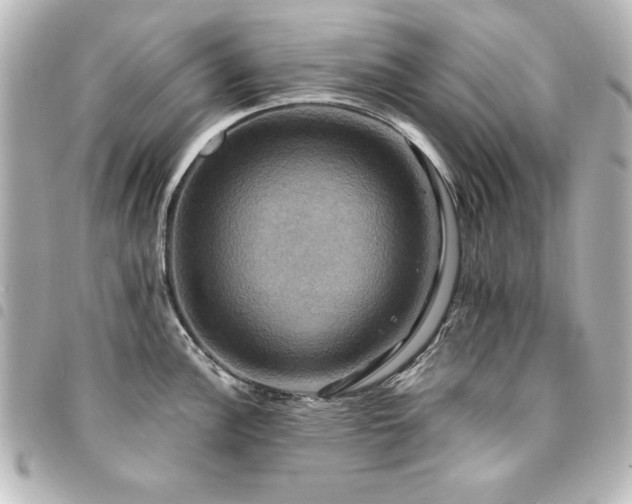 X0000094371148200711021525
