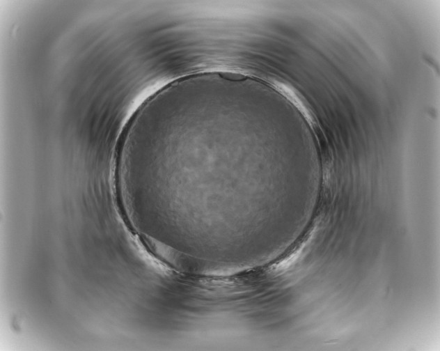 X0000094371149200711021525