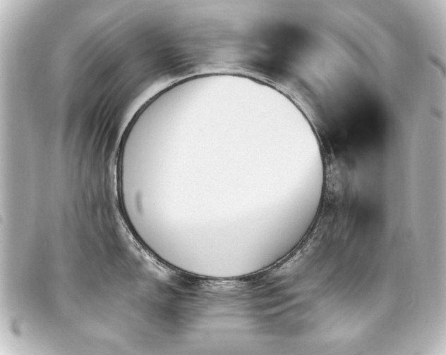 X0000094371150200711021525