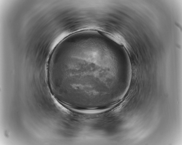 X0000094371151200711021525