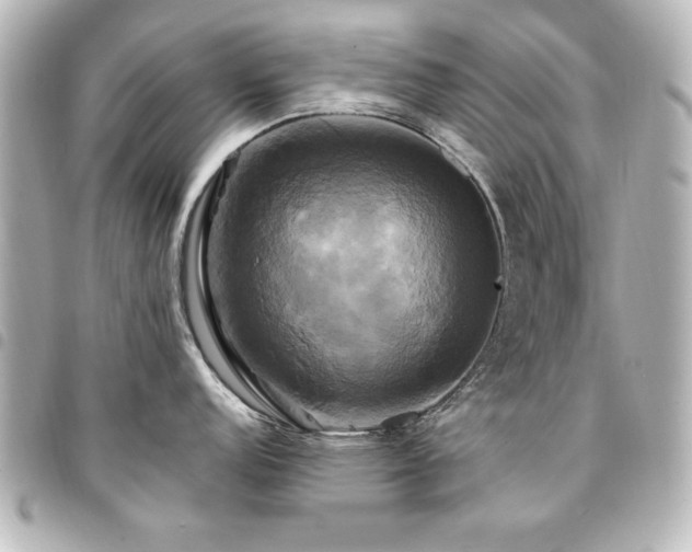 X0000094371152200711021525