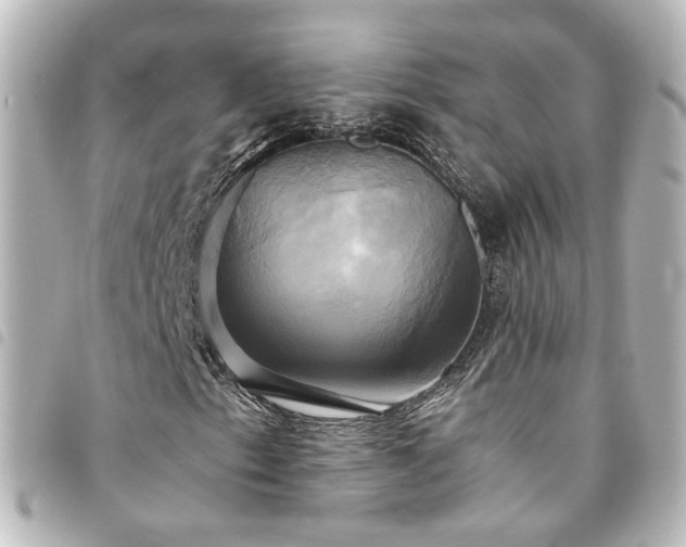 X0000094371153200711021524