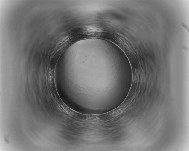 X0000094371154200711021524