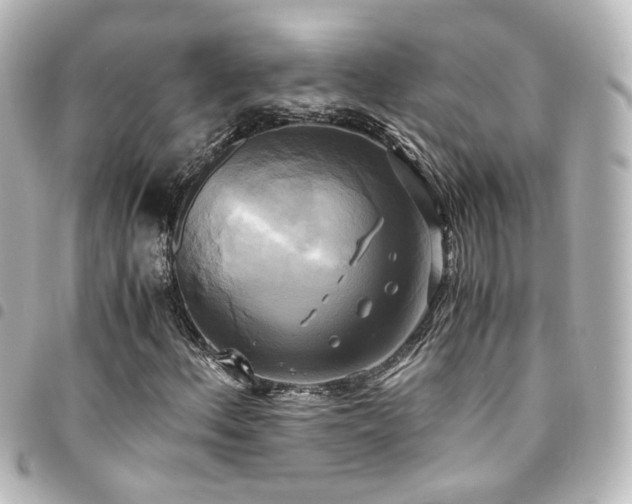 X0000094371156200711021524