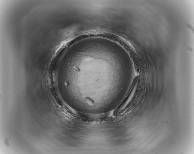 X0000094371160200711021524