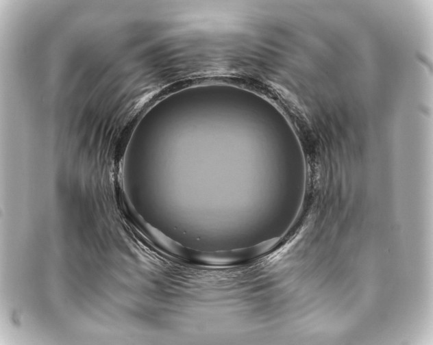 X0000094371161200711021524