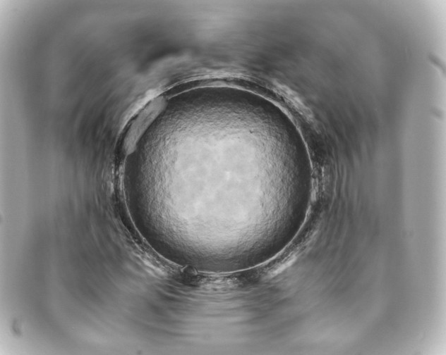 X0000094371165200711021524