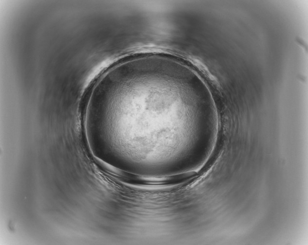 X0000094371167200711021524
