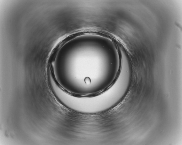 X0000094371168200711021524