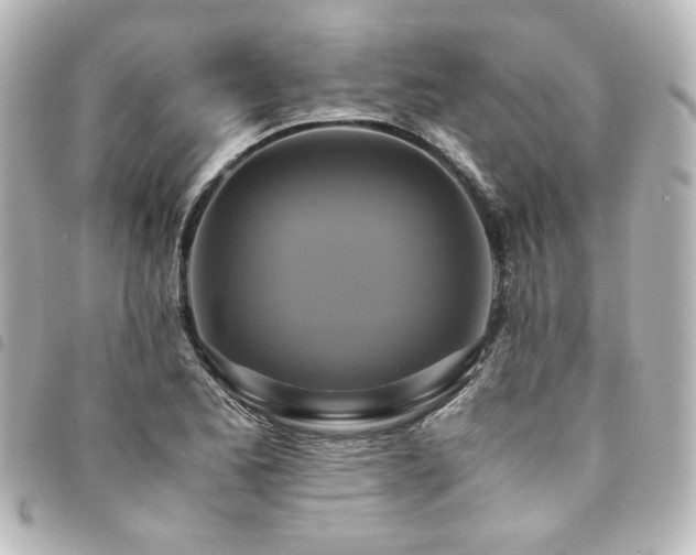 X0000094371173200711021524